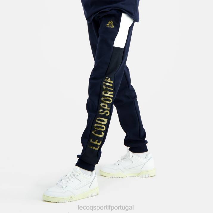 Roupas le top coq sportif